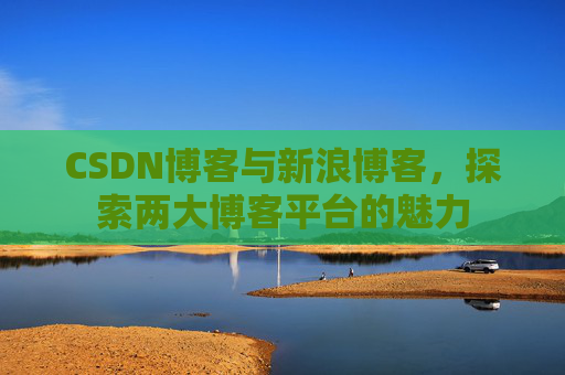 CSDN博客与新浪博客,探索两大博客平台的魅力